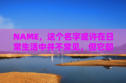 NAME，这个名字或许在日常生活中并不常见，但它却在某些领域里扮演着重要的角色。今天，让我们一起来探索这个名字背后的故事和意义